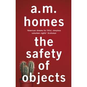 Safety Of Objects | A M Homes (ISBN: 9781847087300)