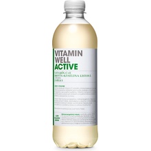 Vitamin Well Active 0,5 l