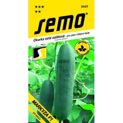 SEMO Uhorka siata šalátová MARKYZA F1 1.5 g