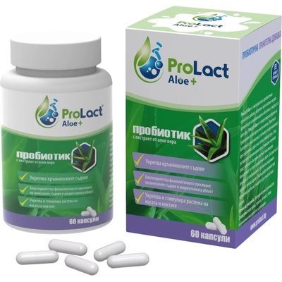 Aloe+ Пробиотик при хемороиди и разширени вени, 60 капсули, ProLact (PL250)