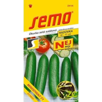SEMO Okurka salátová 'Minisprint F1' 10 s