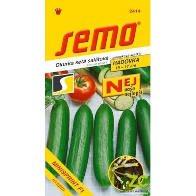 SEMO Okurka salátová 'Minisprint F1' 10 s