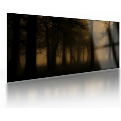 Sklenený obraz - Temný les, jednodielne 100x50 cm na skle