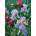 Cobble Hill - Puzzle Spring Glory - 1 000 piese