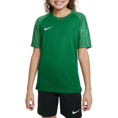 Nike Academy Jr DH8369 302