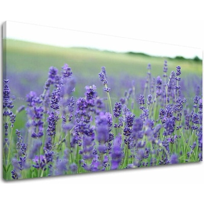 Obraz na stenu KVETY - 20x30