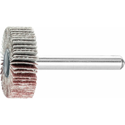 Bibielle RG0195 | Brúsny vejár lamelový so stopkou 30x10-6 mm, Z60