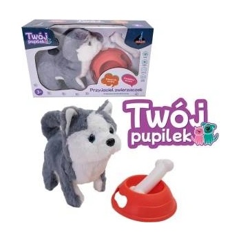 ASKATO Battery operated dog with accessories