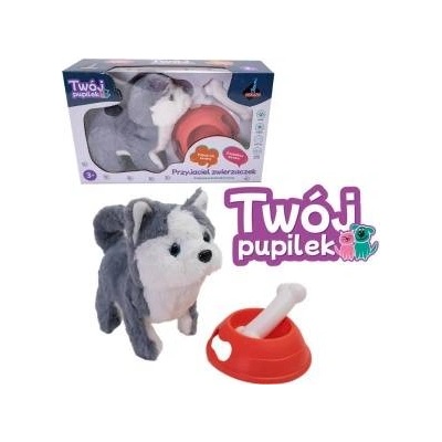 ASKATO Battery operated dog with accessories