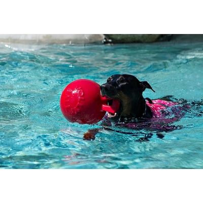 Jolly Pets Míč TUG N TOSS, červený, 16 cm M