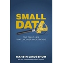 Small Data Lindstrom Martin
