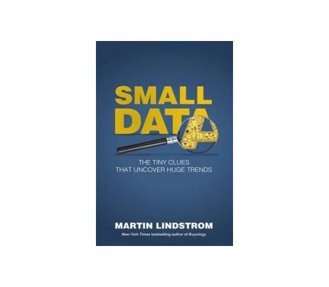 Small Data Lindstrom Martin