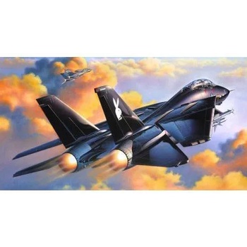 Revell F-14A Black Tomcat 1:48 4514