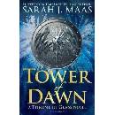 Knihy Tower of Dawn Throne of Glass Sarah J. Maas