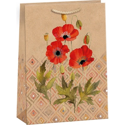 ARGUS Dárková papírová taška (23.3 x 31.3 cm) 07540125