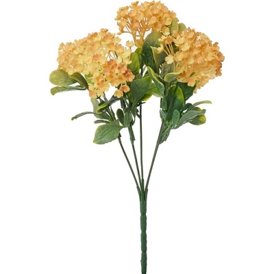 ZELEŇ VIBURNUM ORANŽOVÉ 30CM