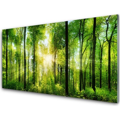Obraz na skle Les príroda 100x50 cm