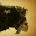 Stoned Jesus Seven Thunders Roar 1 CD