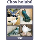 Chov holubů
