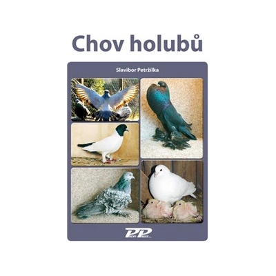 Chov holubů