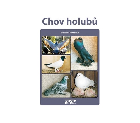 Chov holubů