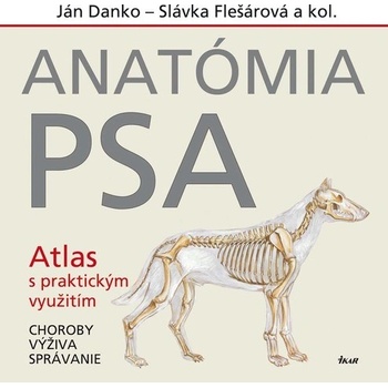 Anatómia psa
