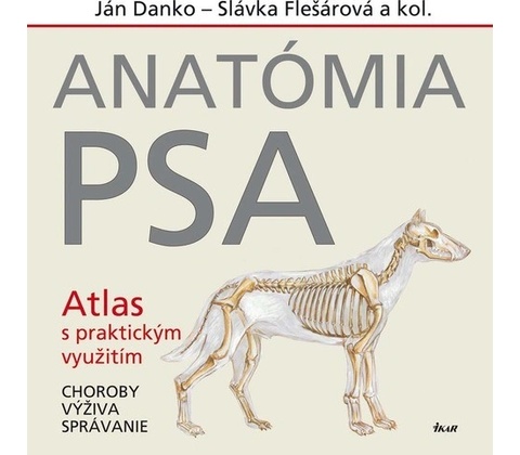 Anatómia psa