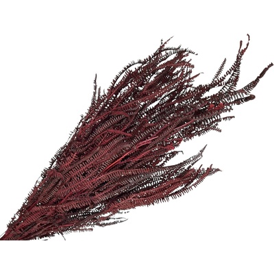 Stabilizované listy Grevillea Ivanhoe papraď 150g - bordové