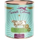 Terra Canis Без зърно Говеждо с тиквички, тиква и риган 800 г