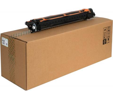 Ricoh D1863052 - originální