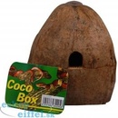 Lucky Reptile Coco Box