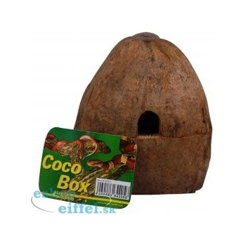 Lucky Reptile Coco Box