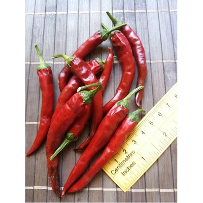 Cayenne Pepper Purple Long 18-CA4l-4-2 (chilli semena) 1 ks