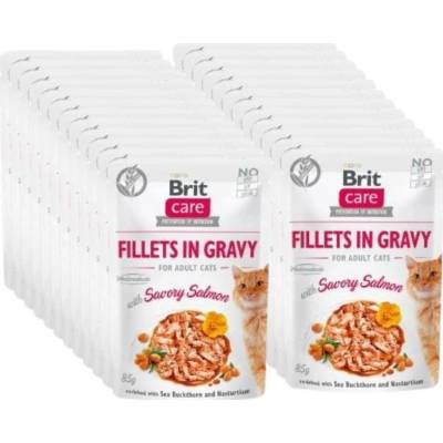 BRIT CARE Cat Sáčky Filety v omáčce s lahodným lososem 24x85 g