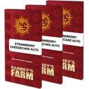 Barney's Farm Strawberry Cheesecake semena neobsahují THC 10 ks