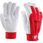 ROCK SAFETY Panther/12 461512