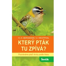 Který pták tu zpívá?