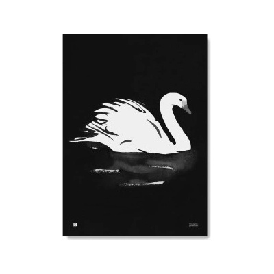 Plakát Swan velký 50x70 cm Teemu Järvi Illustrations