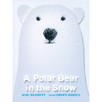 A Polar Bear in the Snow | Shawn Harris