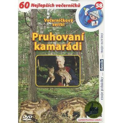 DM discont Pruhovaní kamarádi - DVD (003828)