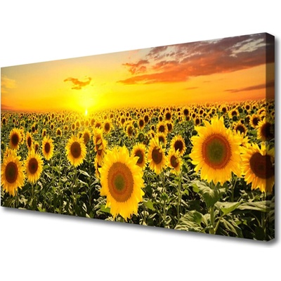 Obraz na plátně Slunečnice 100x50 cm