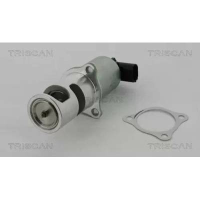 TRISCAN AGR ventil TRI 8813 24037