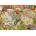 Trefl - Puzzle Premium Plus Tea Time: Antique World Map - 1 000 piese