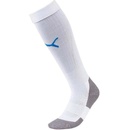 Puma LIGA CORE