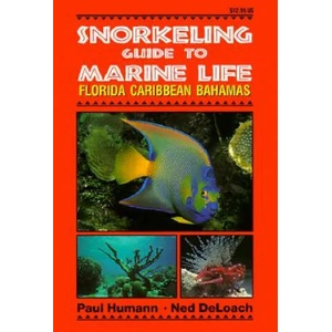 Snorkeling Guide to Marine Life | Paul Humann (2004)