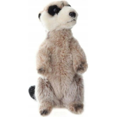 surikata . ROXI 19 cm