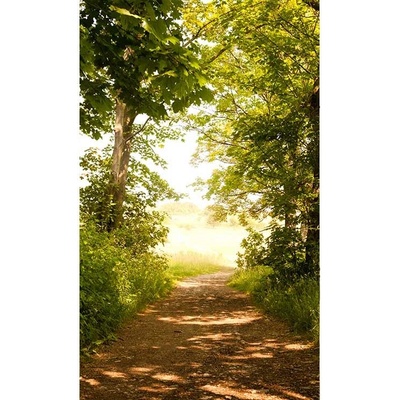 Dimex MS-2-0093 vliesová fototapeta rozměry 150 x 250 cm