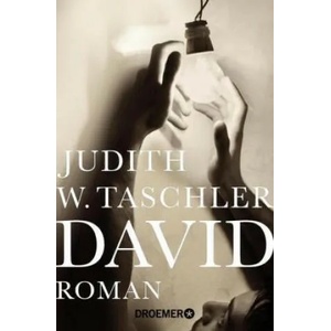 David | Judith W. Taschler (ISBN: 9783426304808)
