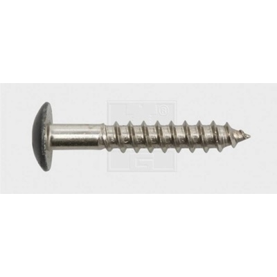 SWG 211535420 vrut na drevené fasády 5.5 mm 35 mm T profil nerezová ocel A4 100 ks