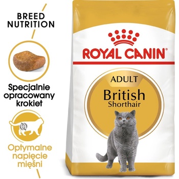 Royal Canin British Shorthair 10 кг суха храна за възрастни котки от породата британска късокосместа котка